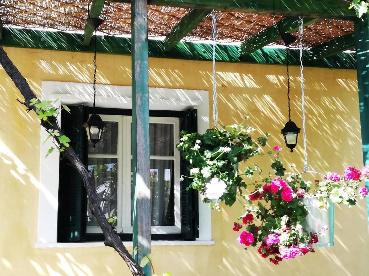 Вилла Garden House In Corfu Corfu  Экстерьер фото