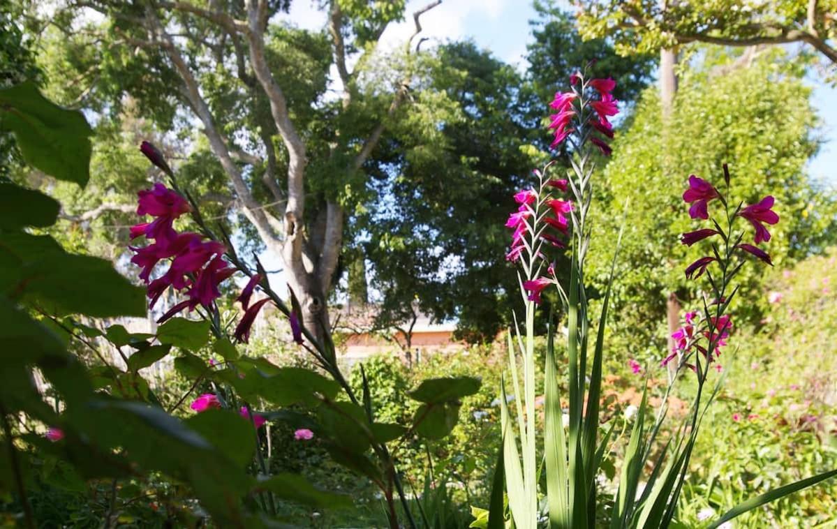 Вилла Garden House In Corfu Corfu  Экстерьер фото